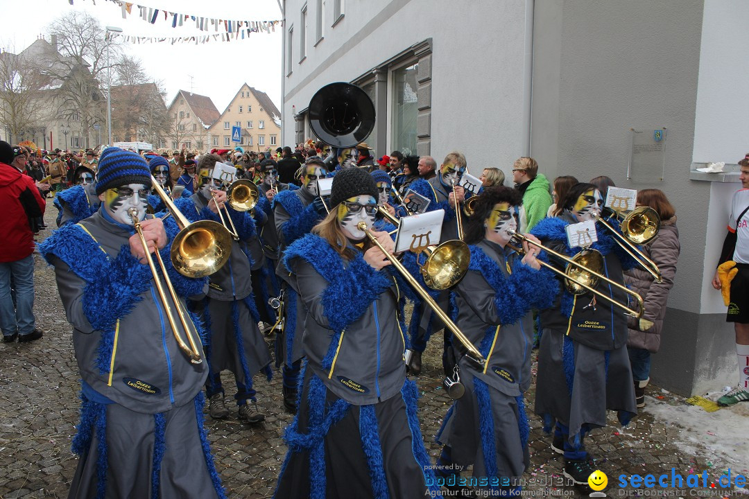 Rosenmontags-Umzug: Messkirch am Bodensee, 16.02.2015