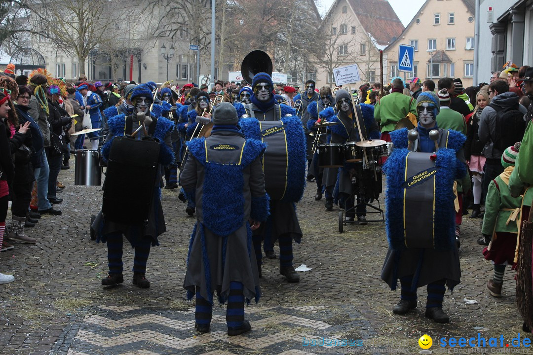 Rosenmontags-Umzug: Messkirch am Bodensee, 16.02.2015