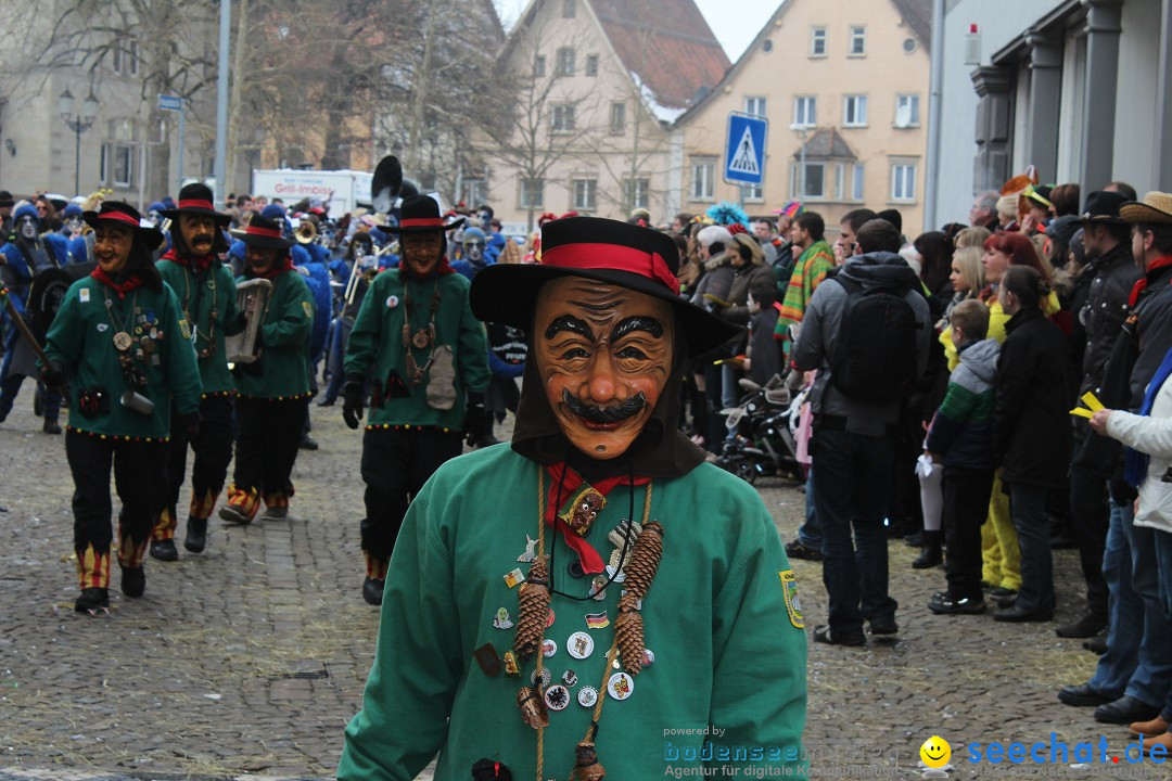 Rosenmontags-Umzug: Messkirch am Bodensee, 16.02.2015