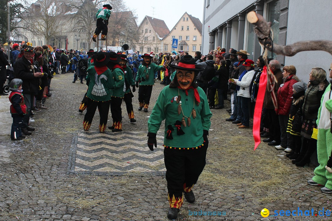 Rosenmontags-Umzug: Messkirch am Bodensee, 16.02.2015