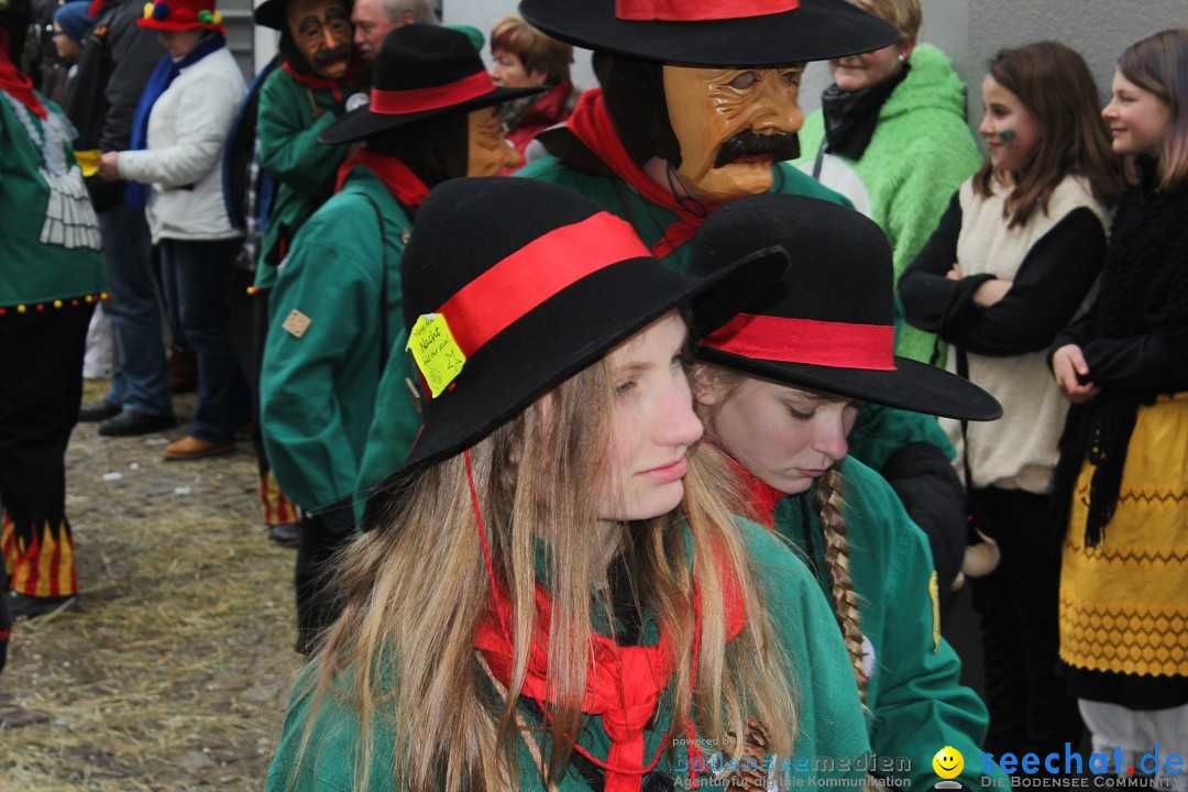 Rosenmontags-Umzug: Messkirch am Bodensee, 16.02.2015