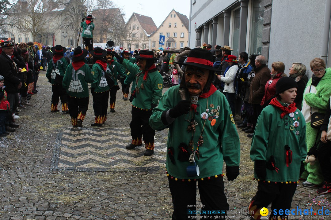 Rosenmontags-Umzug: Messkirch am Bodensee, 16.02.2015