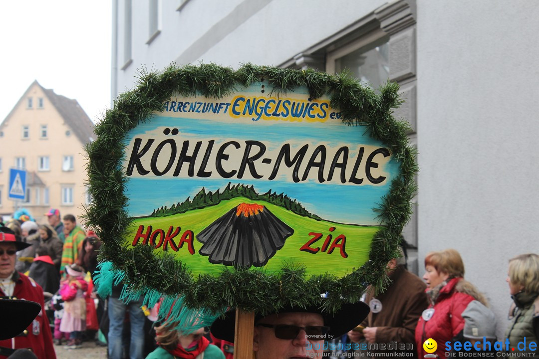 Rosenmontags-Umzug: Messkirch am Bodensee, 16.02.2015