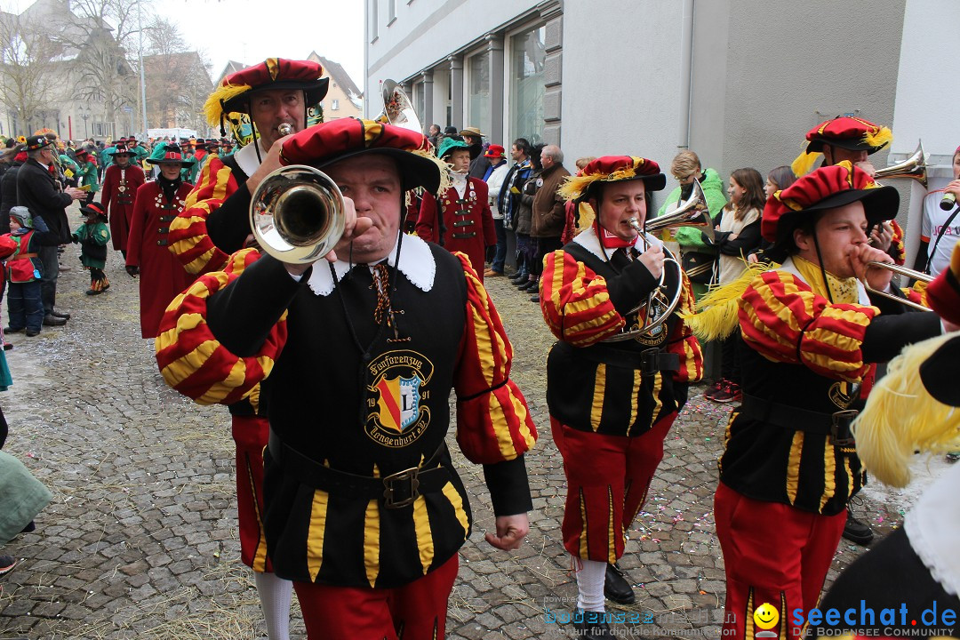 Rosenmontags-Umzug: Messkirch am Bodensee, 16.02.2015