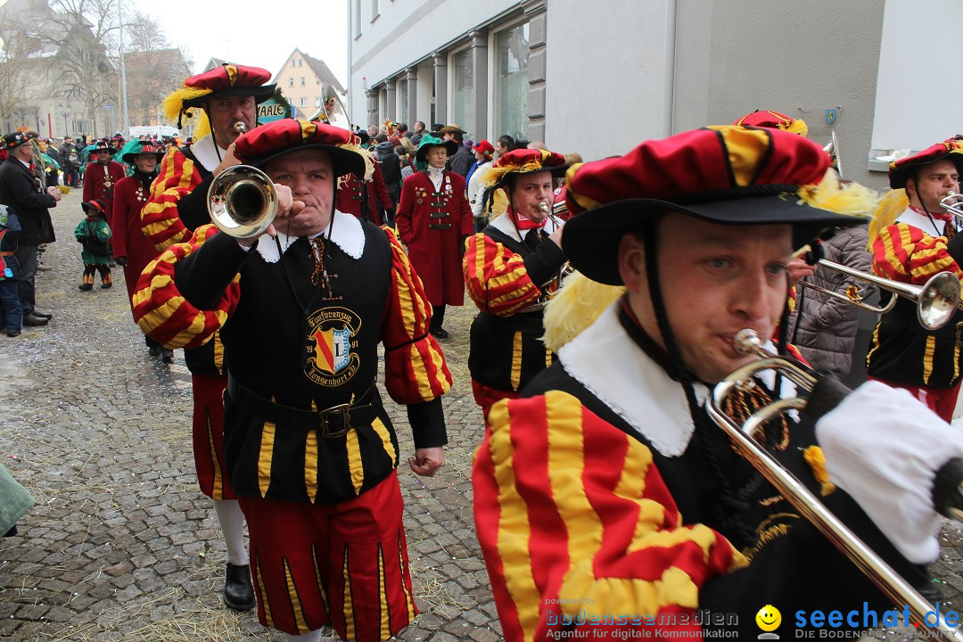 Rosenmontags-Umzug: Messkirch am Bodensee, 16.02.2015