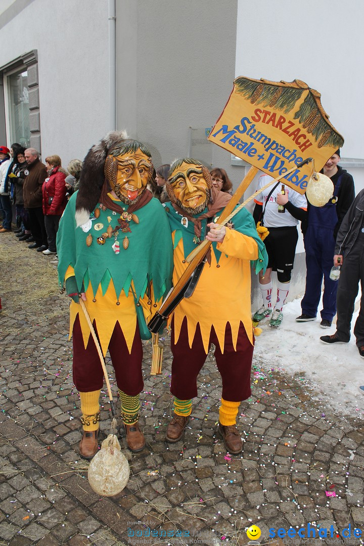 Rosenmontags-Umzug: Messkirch am Bodensee, 16.02.2015