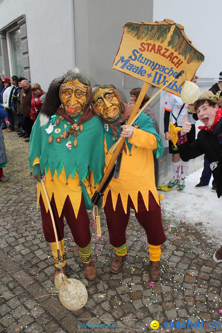 Rosenmontags-Umzug: Messkirch am Bodensee, 16.02.2015