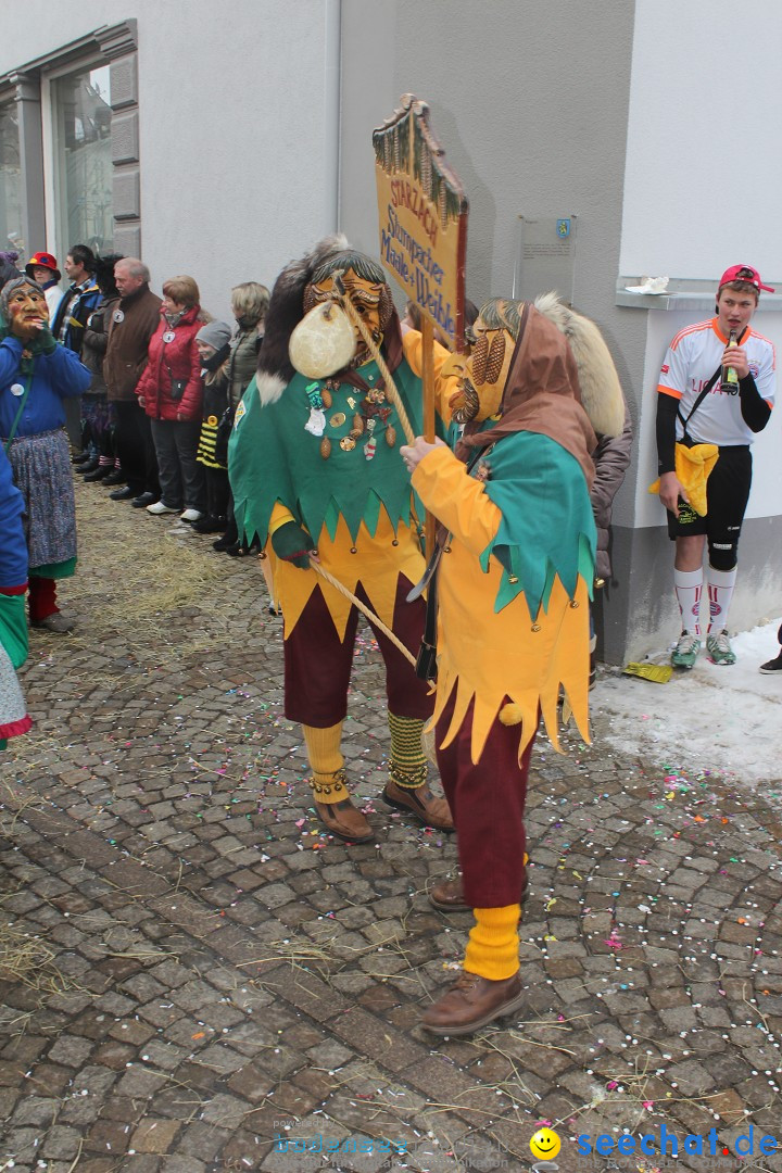 Rosenmontags-Umzug: Messkirch am Bodensee, 16.02.2015