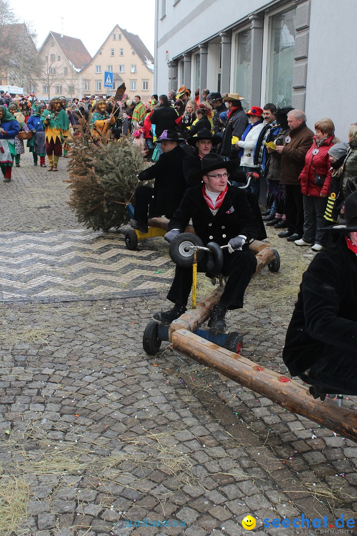 Rosenmontags-Umzug: Messkirch am Bodensee, 16.02.2015