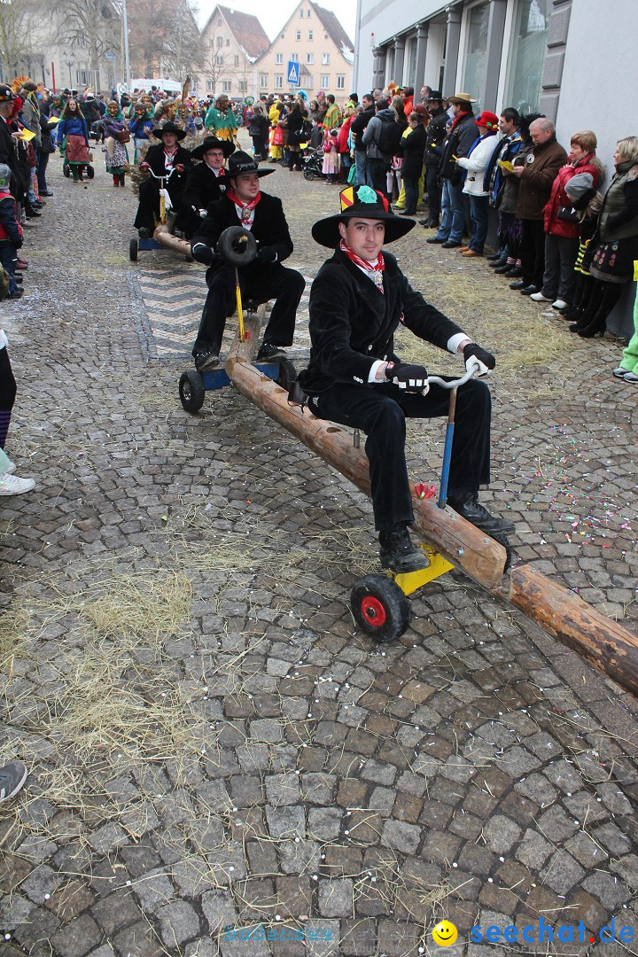 Rosenmontags-Umzug: Messkirch am Bodensee, 16.02.2015