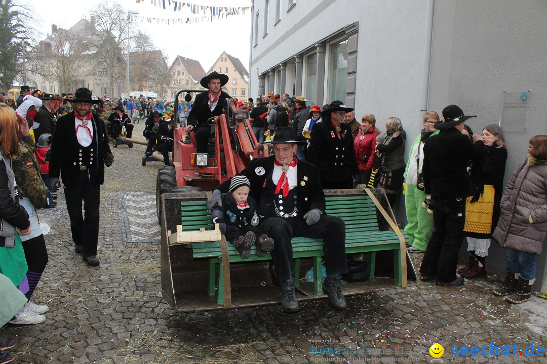 Rosenmontags-Umzug: Messkirch am Bodensee, 16.02.2015