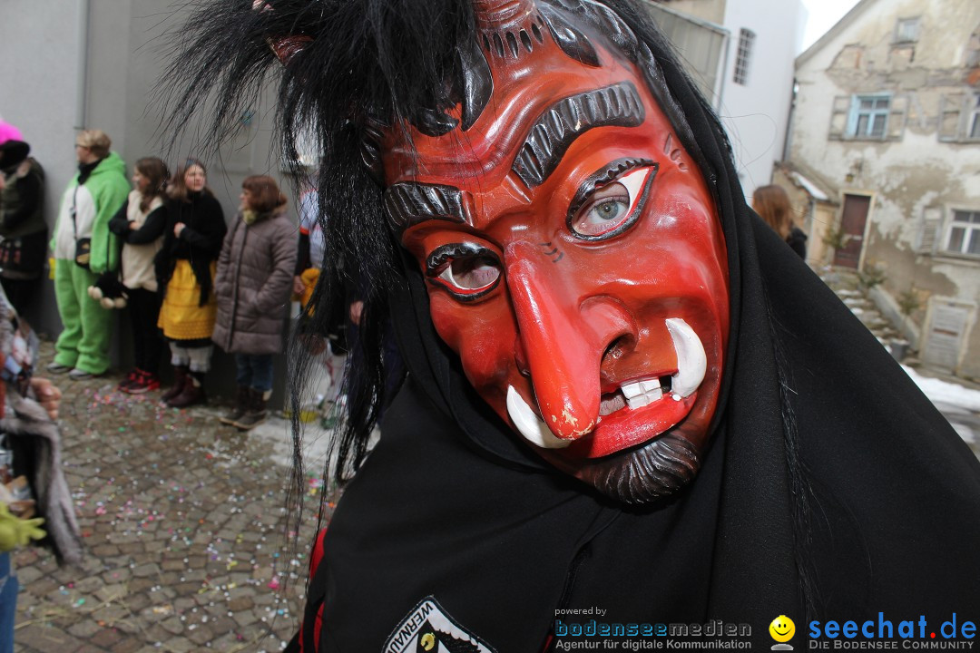 Rosenmontags-Umzug: Messkirch am Bodensee, 16.02.2015