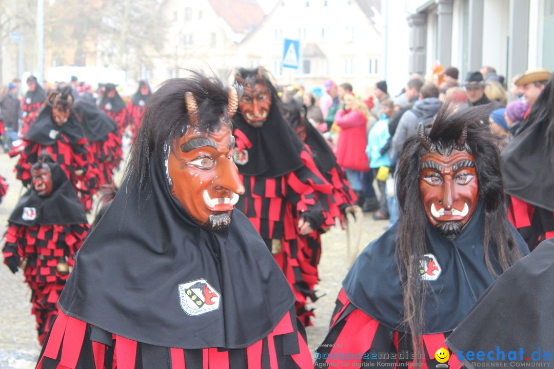 Rosenmontags-Umzug: Messkirch am Bodensee, 16.02.2015