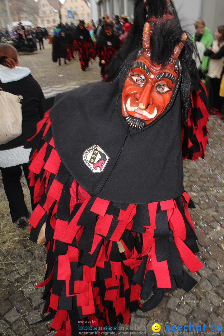 Rosenmontags-Umzug: Messkirch am Bodensee, 16.02.2015