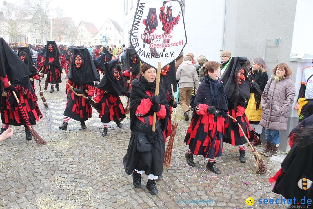 Rosenmontags-Umzug: Messkirch am Bodensee, 16.02.2015