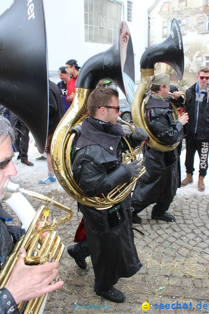 Rosenmontags-Umzug: Messkirch am Bodensee, 16.02.2015