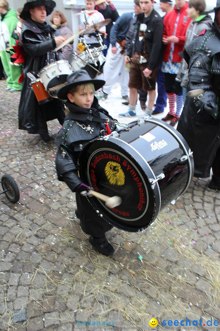 Rosenmontags-Umzug: Messkirch am Bodensee, 16.02.2015