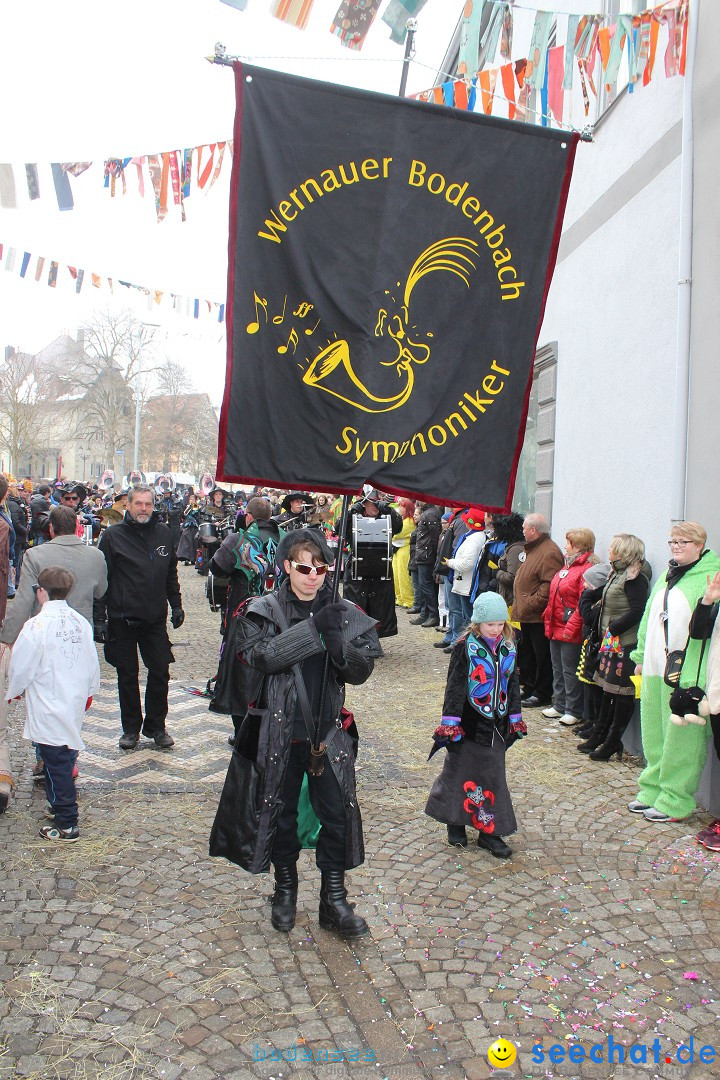 Rosenmontags-Umzug: Messkirch am Bodensee, 16.02.2015