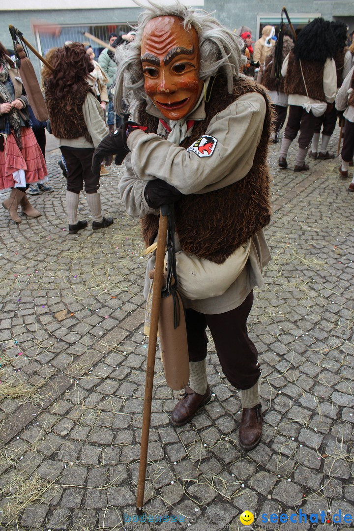 Rosenmontags-Umzug: Messkirch am Bodensee, 16.02.2015