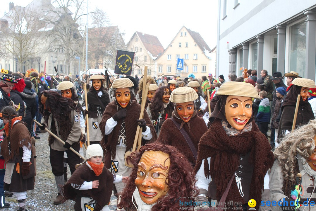 Rosenmontags-Umzug: Messkirch am Bodensee, 16.02.2015