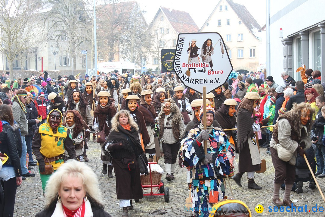 Rosenmontags-Umzug: Messkirch am Bodensee, 16.02.2015