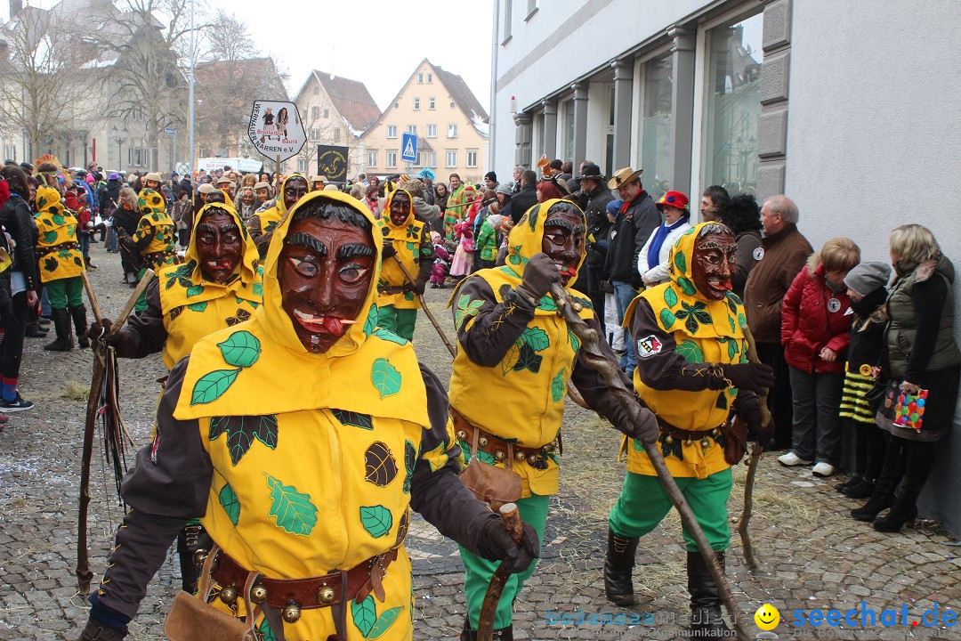 Rosenmontags-Umzug: Messkirch am Bodensee, 16.02.2015