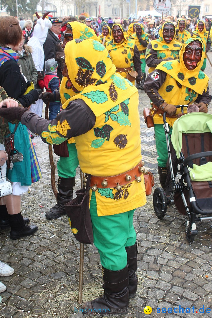 Rosenmontags-Umzug: Messkirch am Bodensee, 16.02.2015