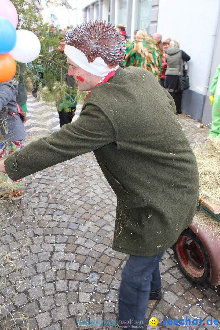 Rosenmontags-Umzug: Messkirch am Bodensee, 16.02.2015