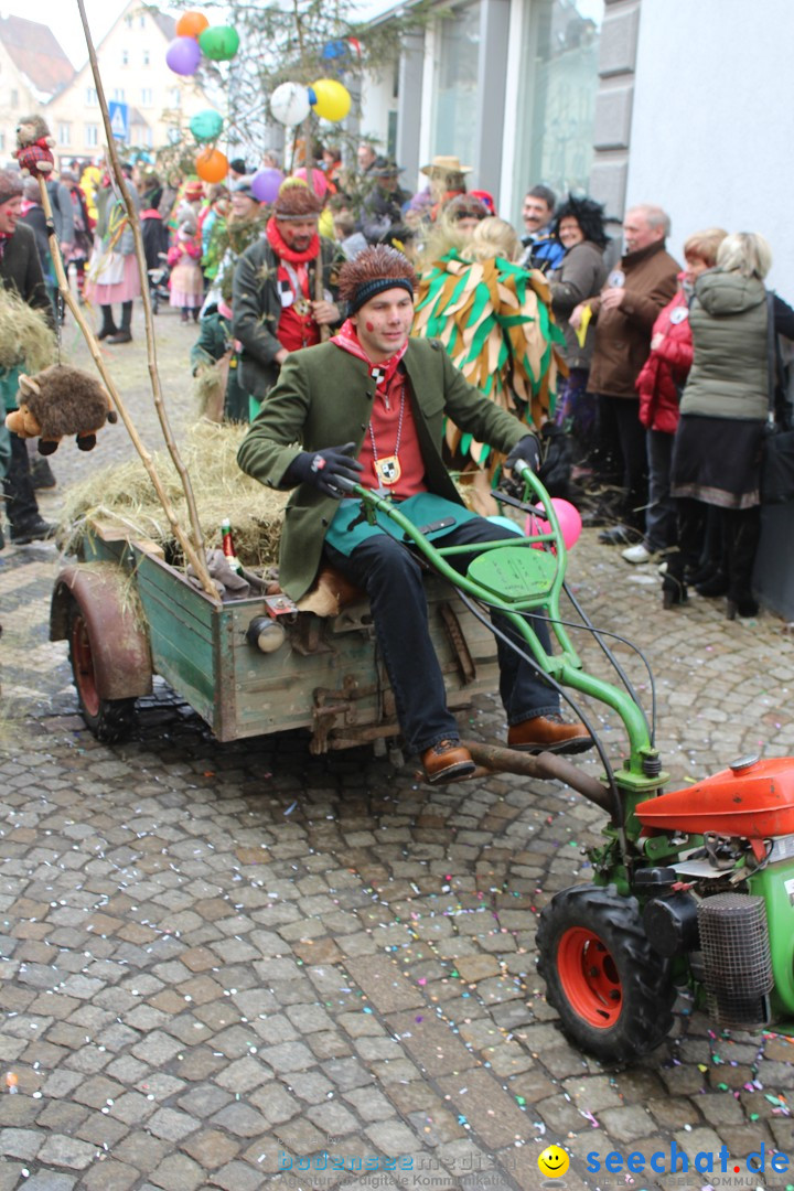 Rosenmontags-Umzug: Messkirch am Bodensee, 16.02.2015