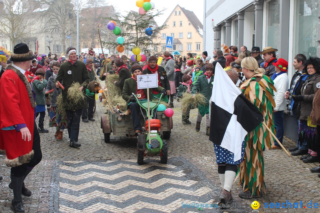 Rosenmontags-Umzug: Messkirch am Bodensee, 16.02.2015