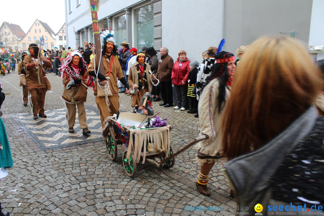 Rosenmontags-Umzug: Messkirch am Bodensee, 16.02.2015