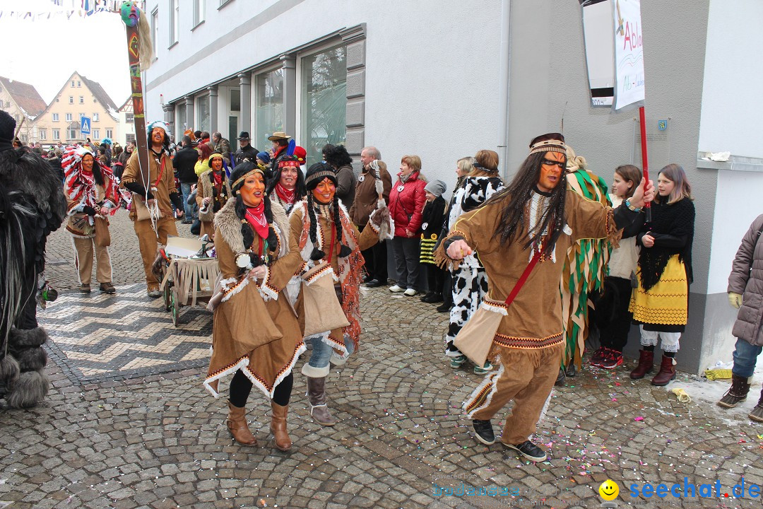 Rosenmontags-Umzug: Messkirch am Bodensee, 16.02.2015