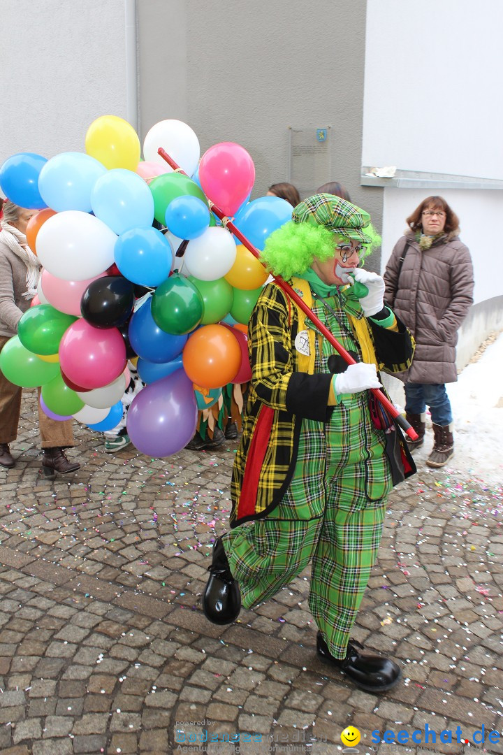 Rosenmontags-Umzug: Messkirch am Bodensee, 16.02.2015