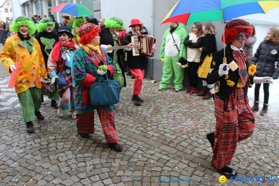 Rosenmontags-Umzug: Messkirch am Bodensee, 16.02.2015