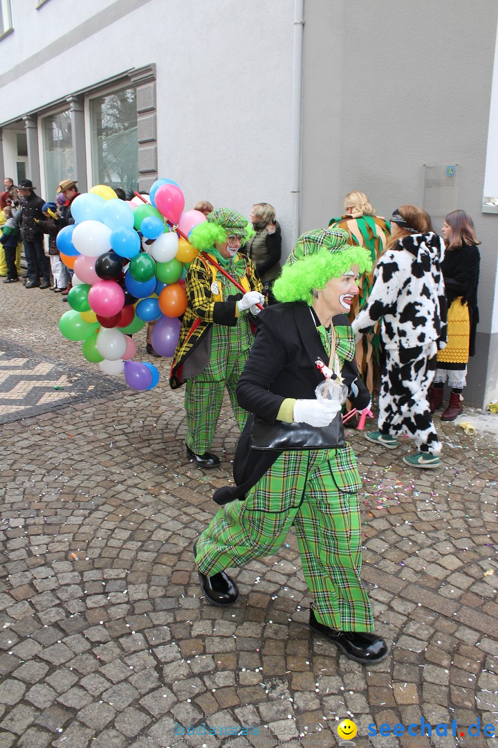 Rosenmontags-Umzug: Messkirch am Bodensee, 16.02.2015