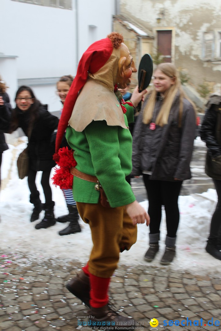 Rosenmontags-Umzug: Messkirch am Bodensee, 16.02.2015