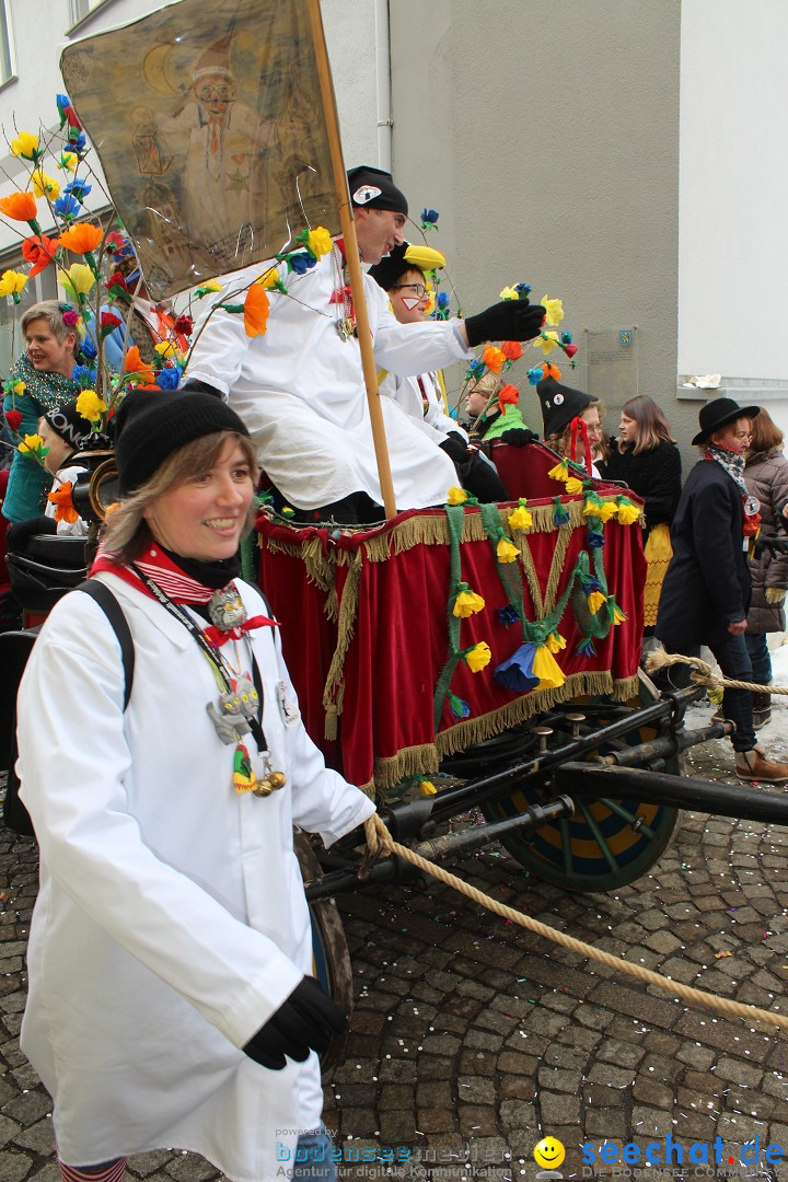 Rosenmontags-Umzug: Messkirch am Bodensee, 16.02.2015