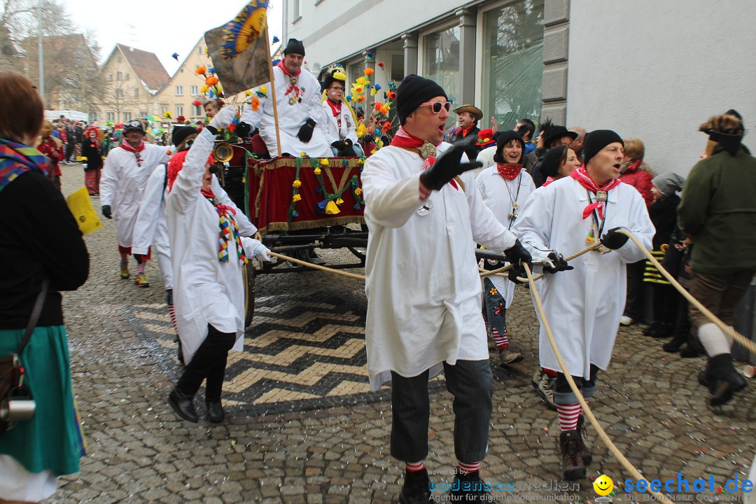 Rosenmontags-Umzug: Messkirch am Bodensee, 16.02.2015