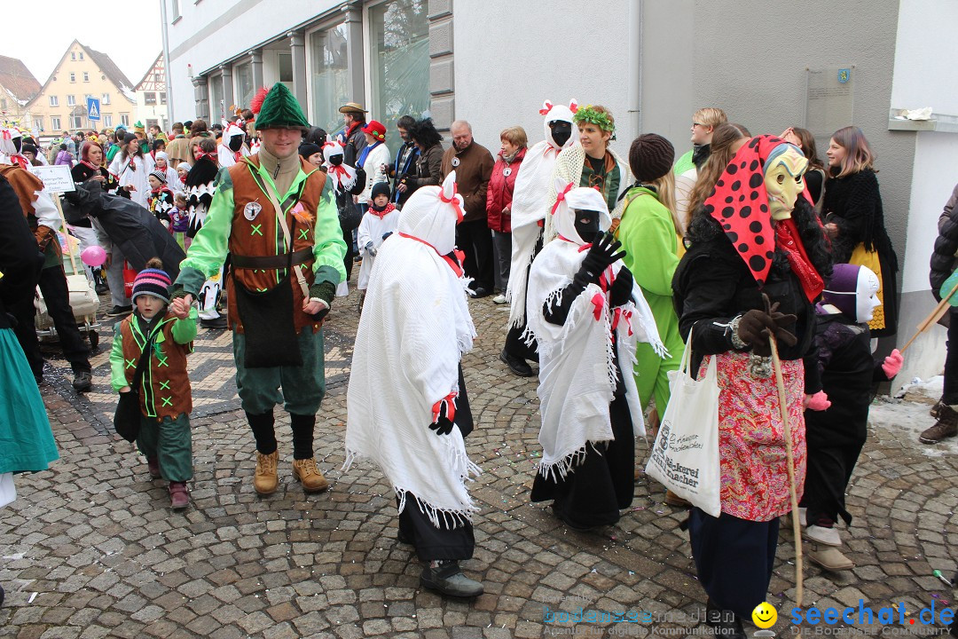 Rosenmontags-Umzug: Messkirch am Bodensee, 16.02.2015