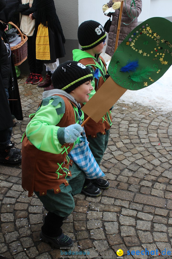 Rosenmontags-Umzug: Messkirch am Bodensee, 16.02.2015