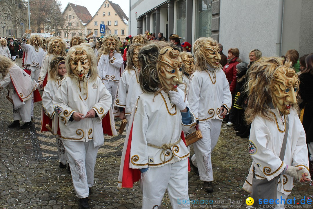 Rosenmontags-Umzug: Messkirch am Bodensee, 16.02.2015