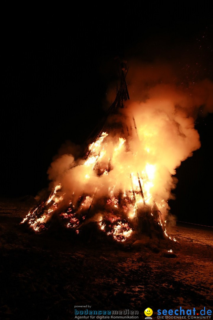 Funkenfeuer Fasnet - Ursaul bei Stockach am Bodensee, 22.02.2015