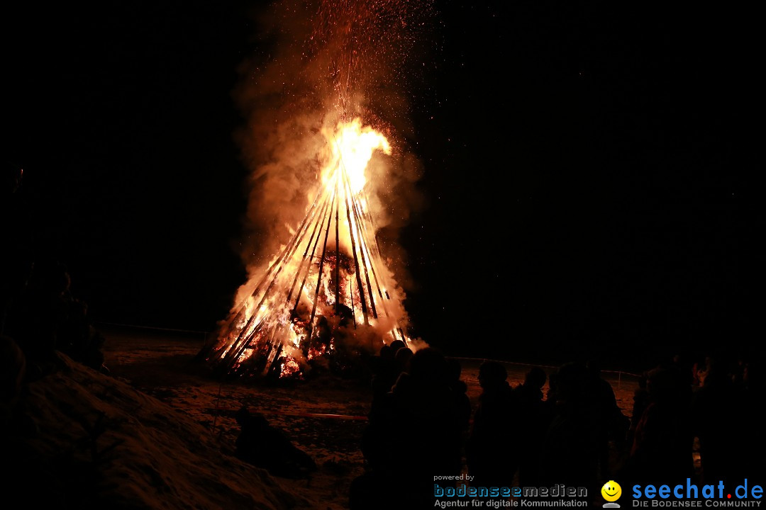 Funkenfeuer Fasnet - Ursaul bei Stockach am Bodensee, 22.02.2015