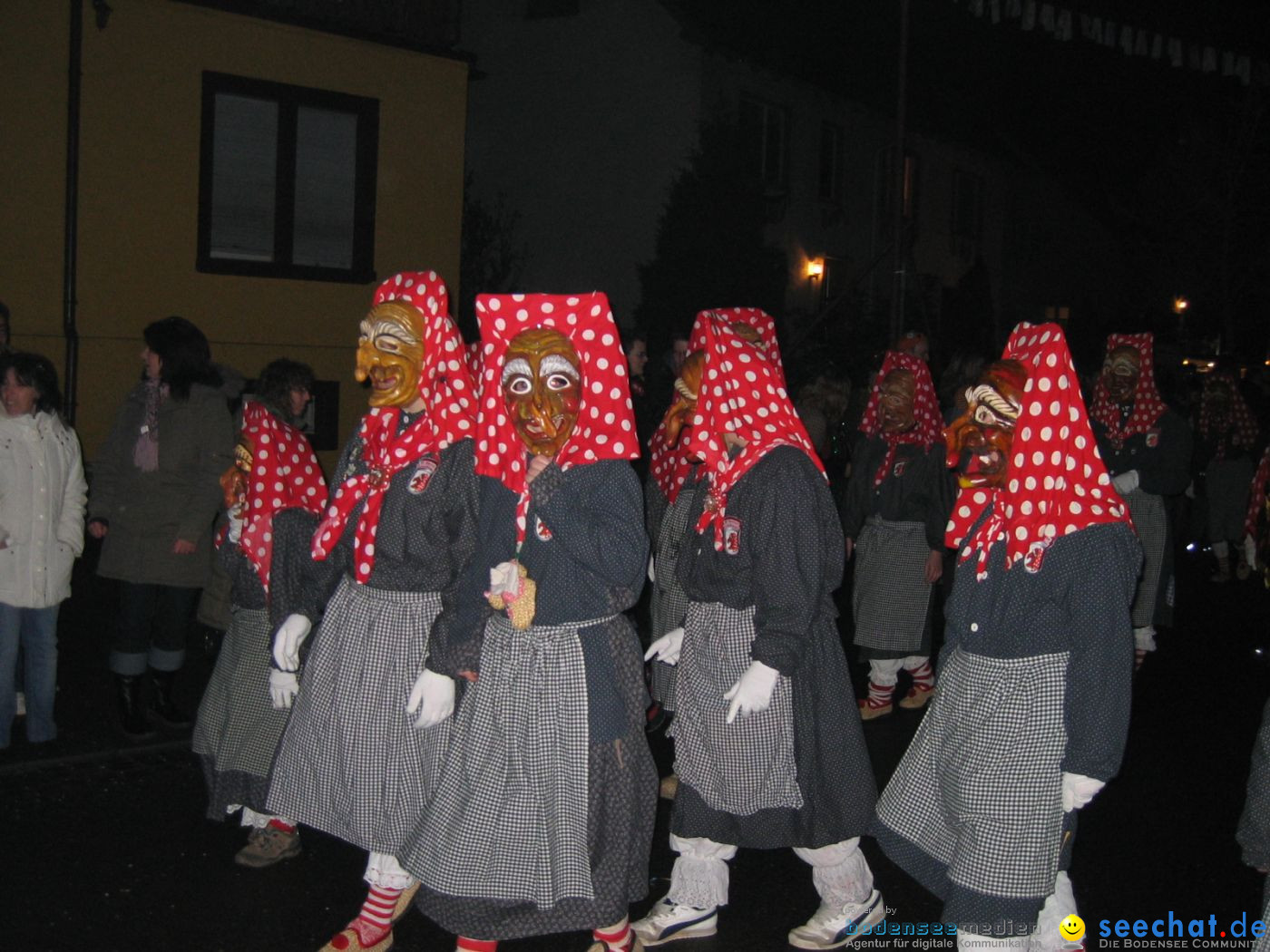 Narrentreffen - Volkertshausen