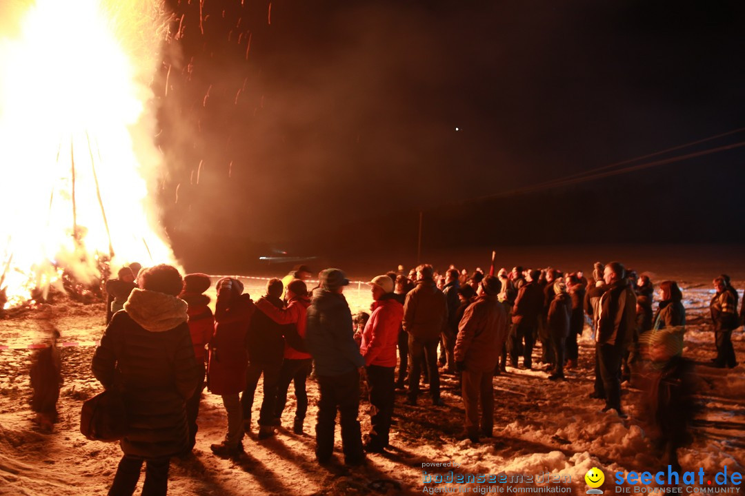 Funkenfeuer Fasnet - Ursaul bei Stockach am Bodensee, 22.02.2015