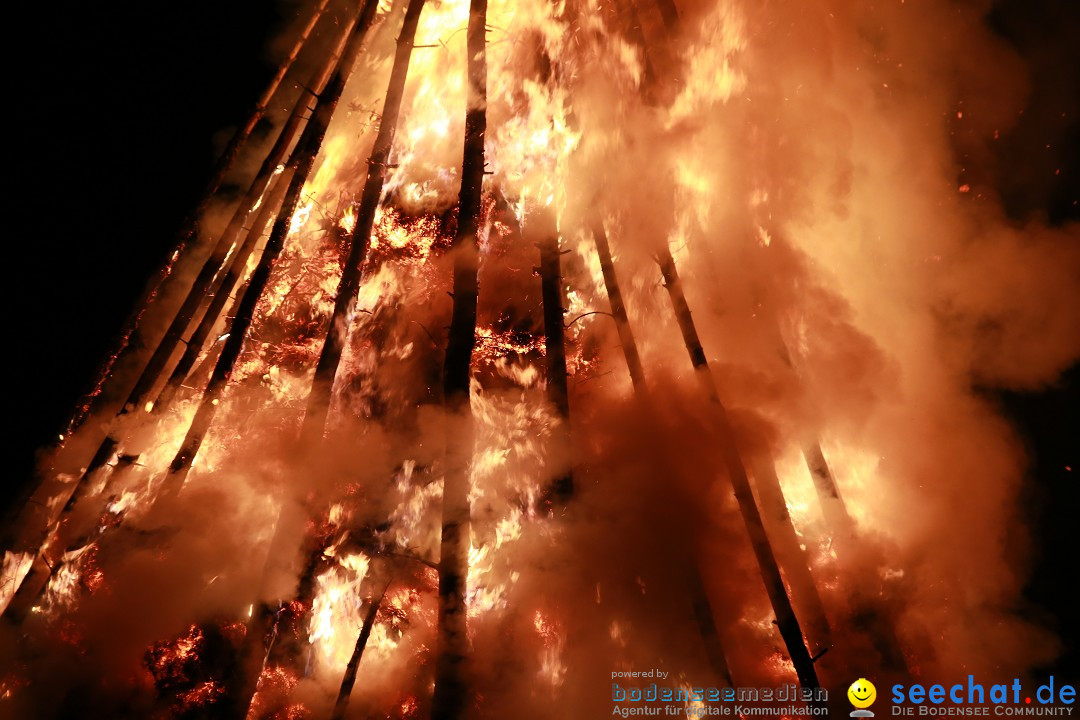 Funkenfeuer Fasnet - Ursaul bei Stockach am Bodensee, 22.02.2015