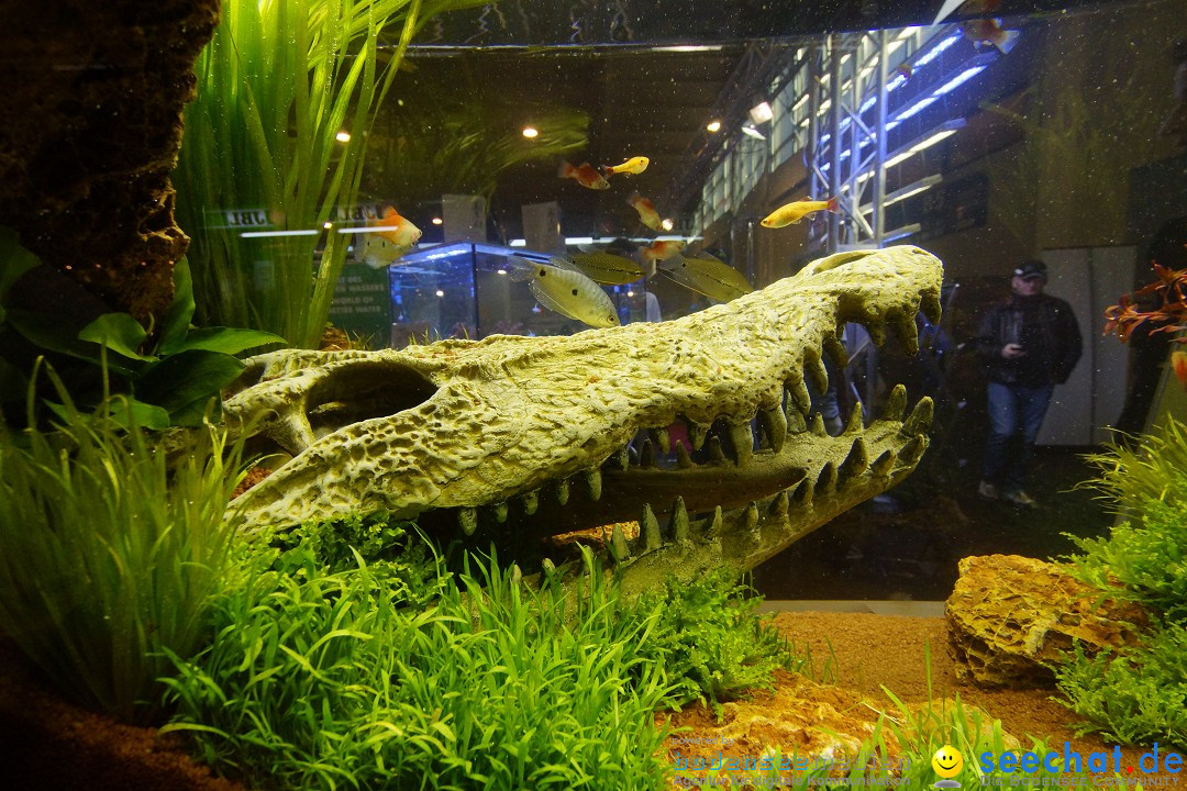 AQUA-FISCH - Internationale Aquaristik-Messe: Friedrichshafen, 07.03.2015