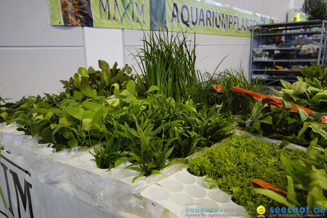 AQUA-FISCH - Internationale Aquaristik-Messe: Friedrichshafen, 07.03.2015