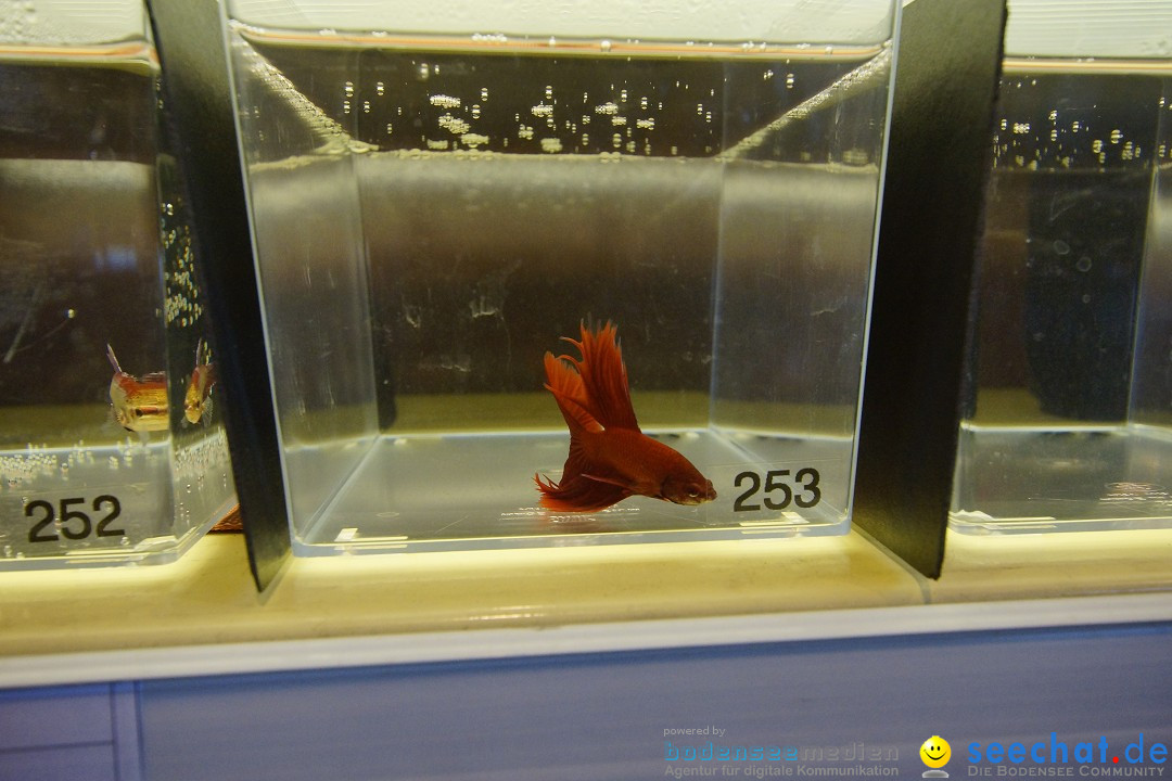 AQUA-FISCH - Internationale Aquaristik-Messe: Friedrichshafen, 07.03.2015