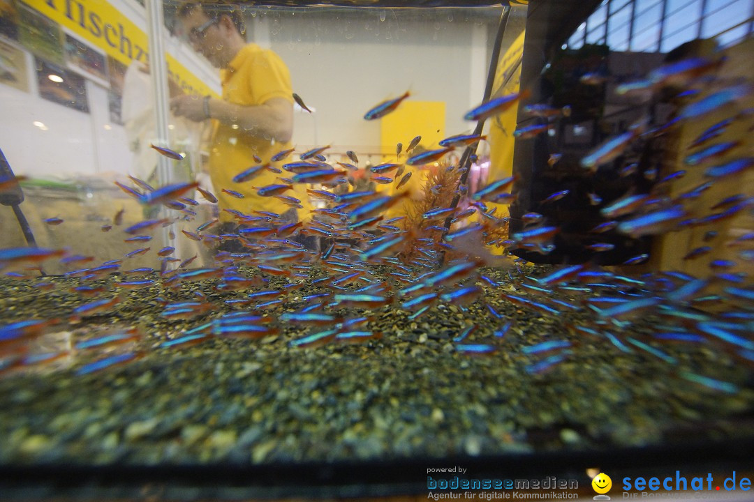 AQUA-FISCH - Internationale Aquaristik-Messe: Friedrichshafen, 07.03.2015